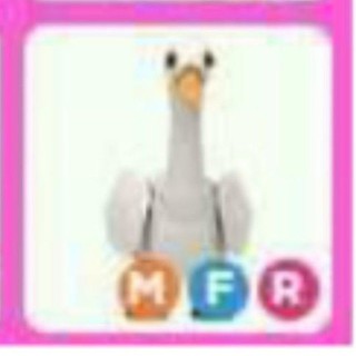 Adopt Me Swan Mega Fly Ride MFR (CHEAP/CHRISTMAS EGG PET) | Shopee Malaysia