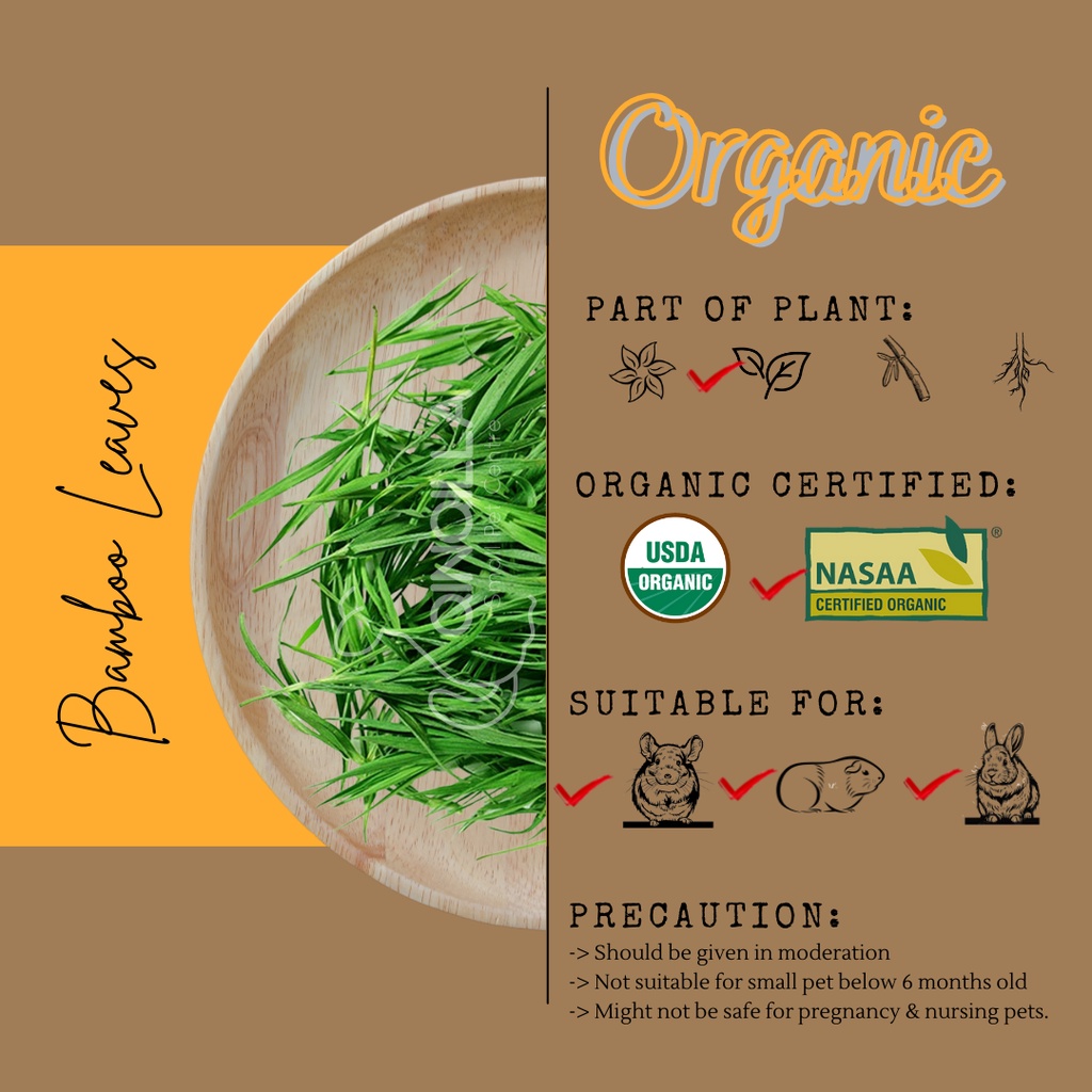 Organic Bamboo Leaves 有机竹叶 snack for chinchillas, guinea pigs, rabbits