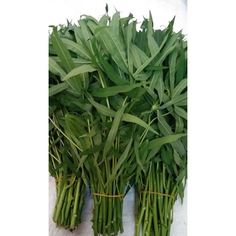 Buy Daun Pucuk Ubi Kayu Sesuai Untuk Celur Masak Lemak Bubur Lambuk Seetracker Malaysia