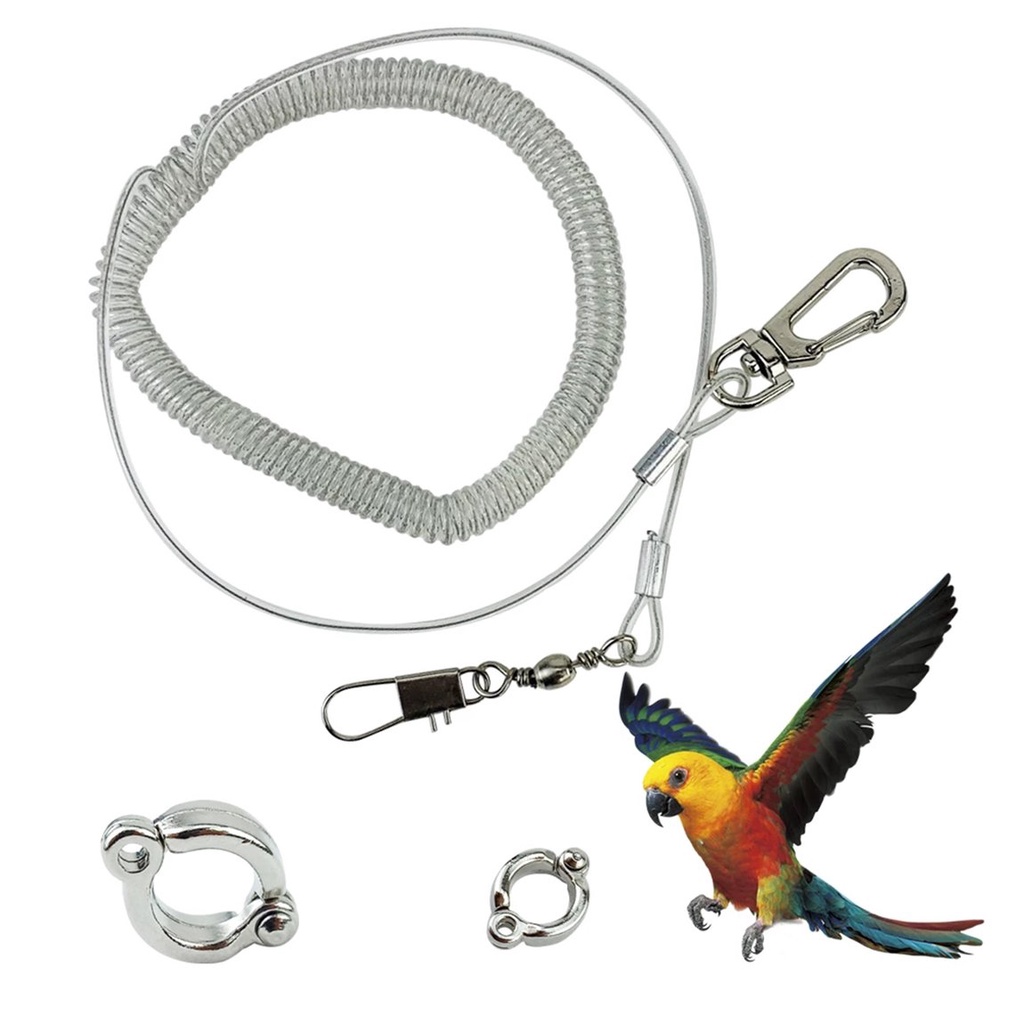 Essential Versatile 【Y&New Specials】Pet Parrot Leash Kits Training Rope Alloy Leg Ring Flexible Bird Chain Flying... - Image 2