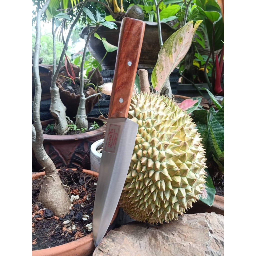 Durian Peeler Knife Tapping Filling Fish Slicing Slicer Meat Vegetables Fruits Genuine Aranyik