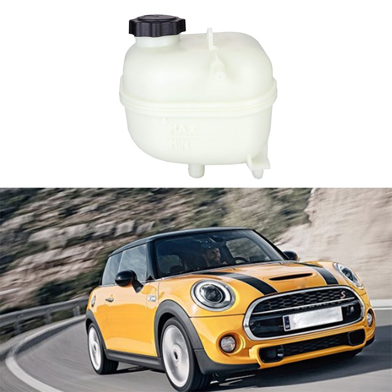 mini coolant cap