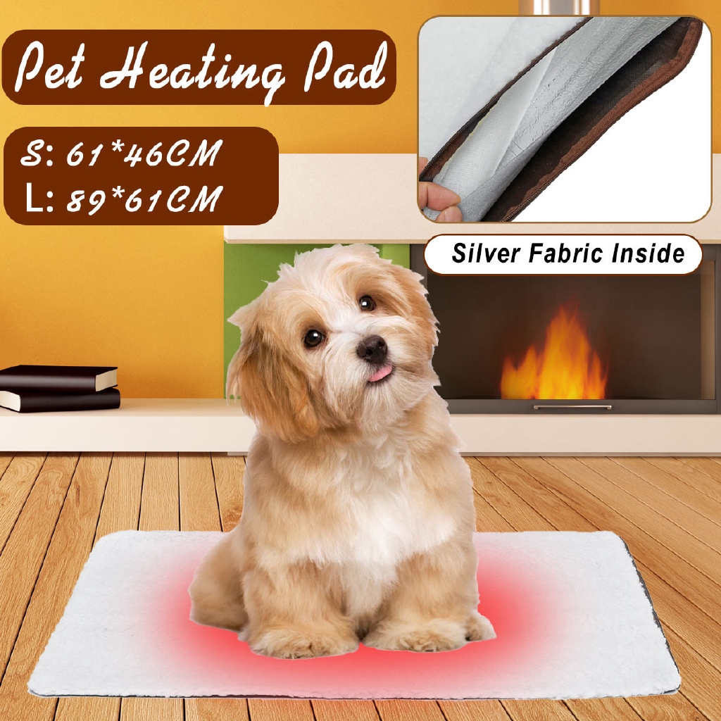 inside dog beds