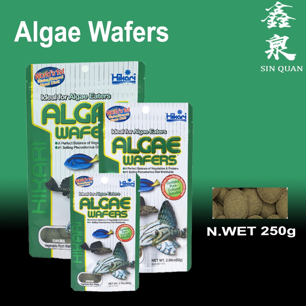 Hikari Algea Wafers /20g & 40g & 82g & 250g/Ideal For Algae Wafers 高夠力 異型飼料 Shopee Malaysia