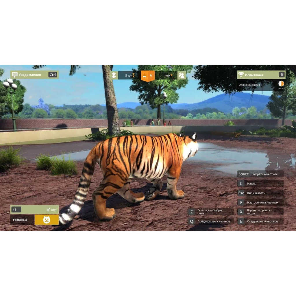 PC GAME) Zoo Tycoon: Ultimate Animal Collection - DVD | Shopee Malaysia