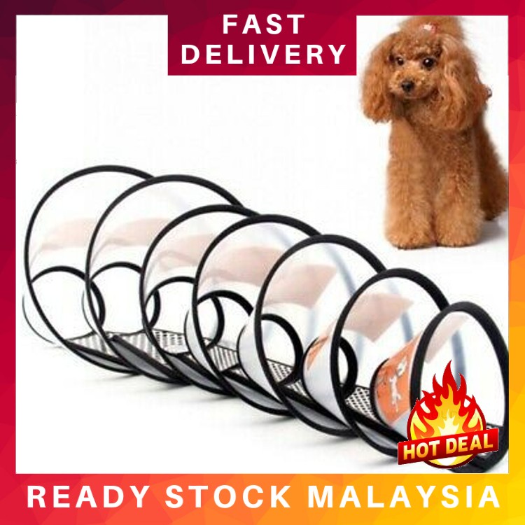 Do E Collars Hurt Dogs