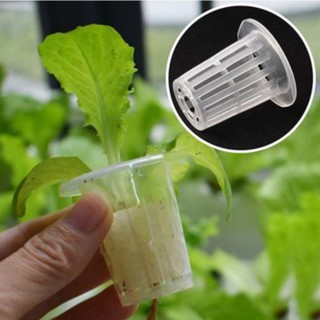 10pcs Mesh Net  Pot  Hydroponic Cup Pasu Hidroponik  Shopee 