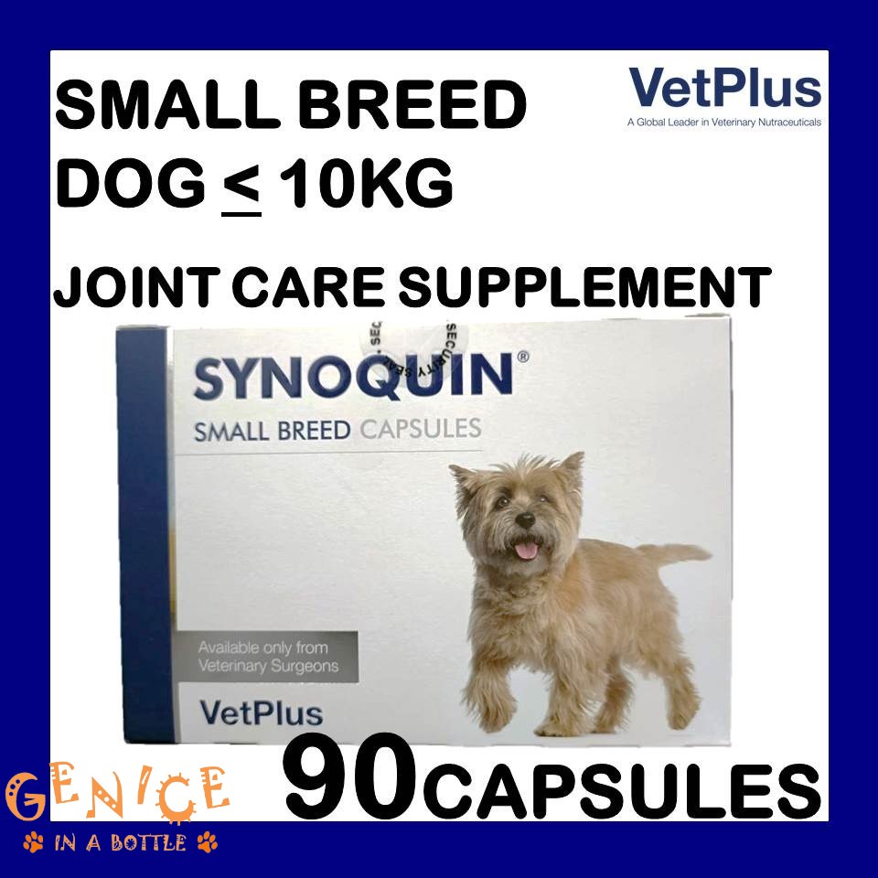 SYNOQUIN EFA SMALL BREED CAPSULE FOR DOGS 90 capsules (under 10kg) [EXP