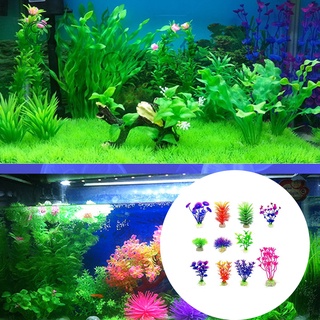 660 Contoh Landscape Aquarium HD