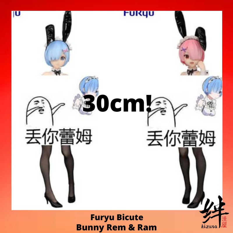 bicute bunny rem