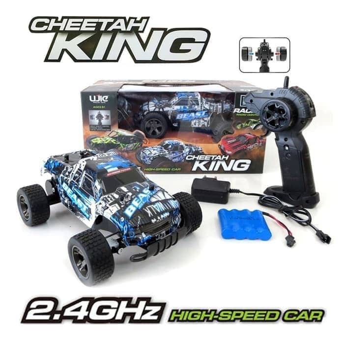 2.4GHz RC Car 2WD Remote Control High 
