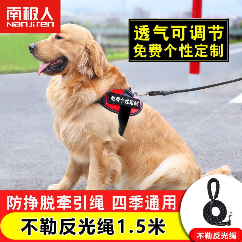 Dog Leash Antarctic People Dog Leash Leash Chest Strap Labra狗绳南极 人狗狗牵引绳胸背带拉布拉多金毛用品泰迪小中型大型犬狗链子1 4