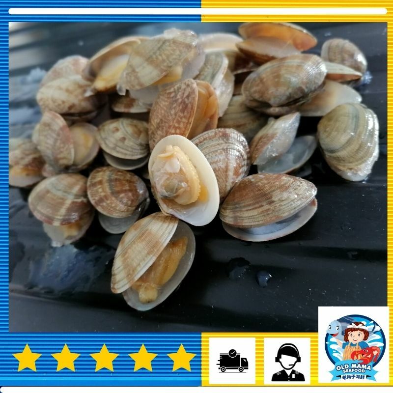 Asari Short Neck Clam 花蛤啦啦 500gm Pk Lala Kepah Fresh Makanan Laut Old Mama Seafood Shopee Malaysia