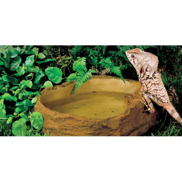 reptile food and water dishes