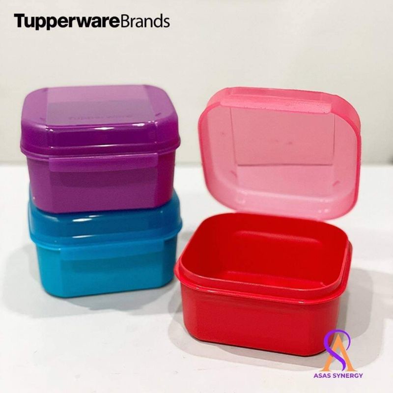 Tupperware Signature Line Storage Sample Set 1 – SRKHWN