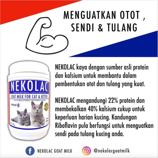 Buy Fast Shipping Nekolac Goat Milk For Cat Kitten 200g Seetracker Malaysia