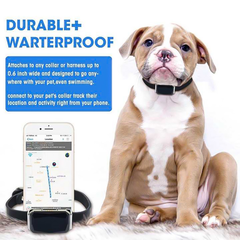 Multifunctional GPS Pet Tracker-Collar - Prices and Promotions 