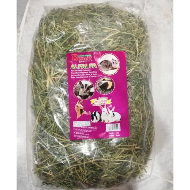 alfalfa hay for guinea pigs