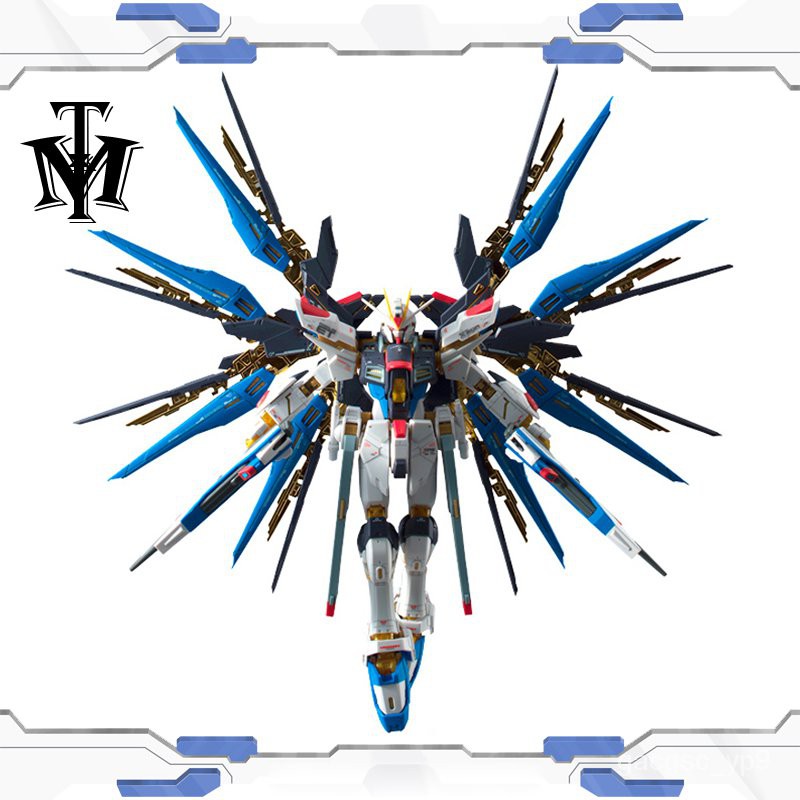 Japan rg 14 1/144 anime strike freedom gundam seed real grade zgmf-x20a ...