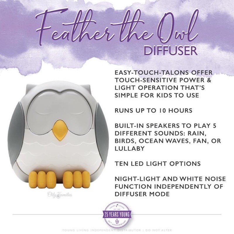 Feather Owl Diffuser by YL | Shopee Malaysia