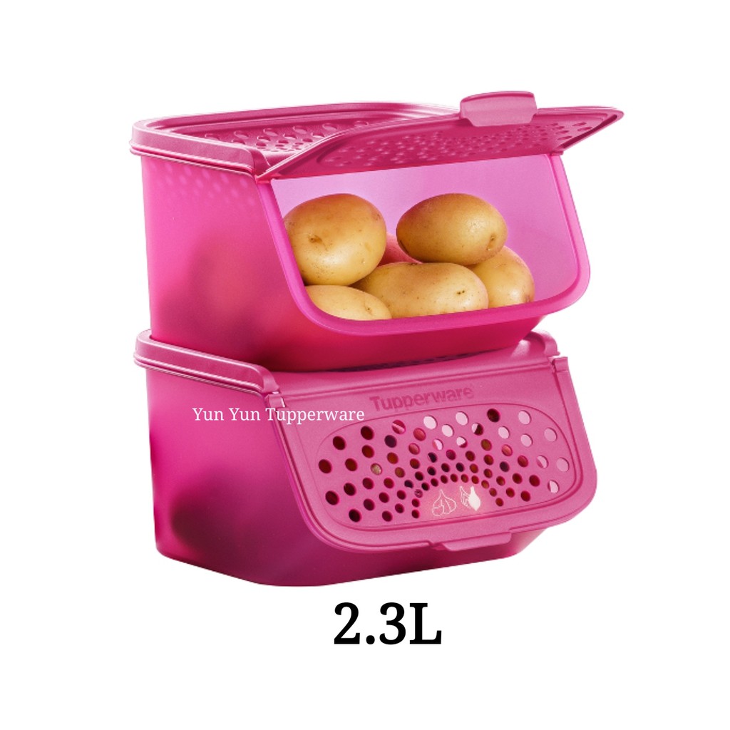 SALES Tupperwarep Garlic N All Keeper Set (1 PC/2 PCS/3 PCS/ 4 PCS) 2.3L - Dark Pink