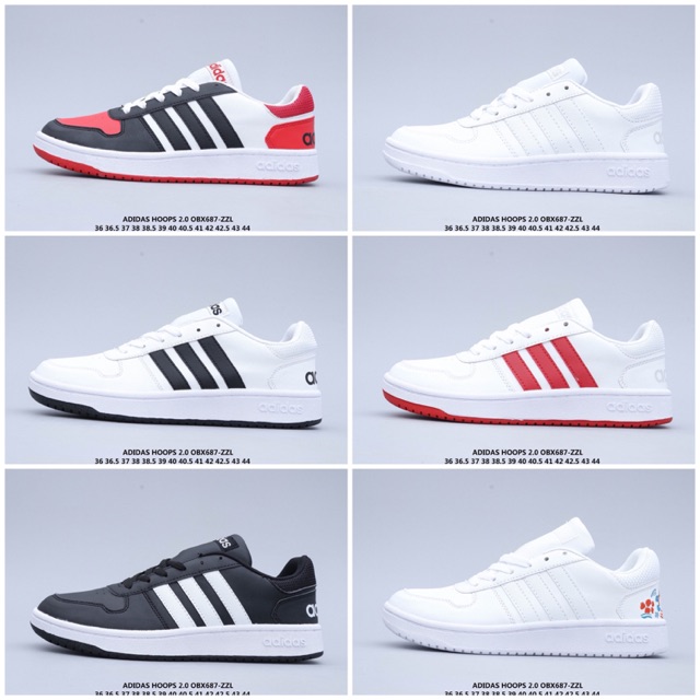 adidas hoops 43
