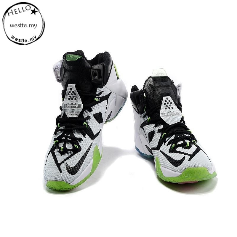 lebron james 12 shoes