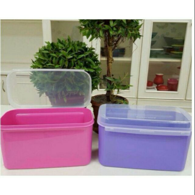 Tupperware Ezy Keeper Rectangular Small 2.6L