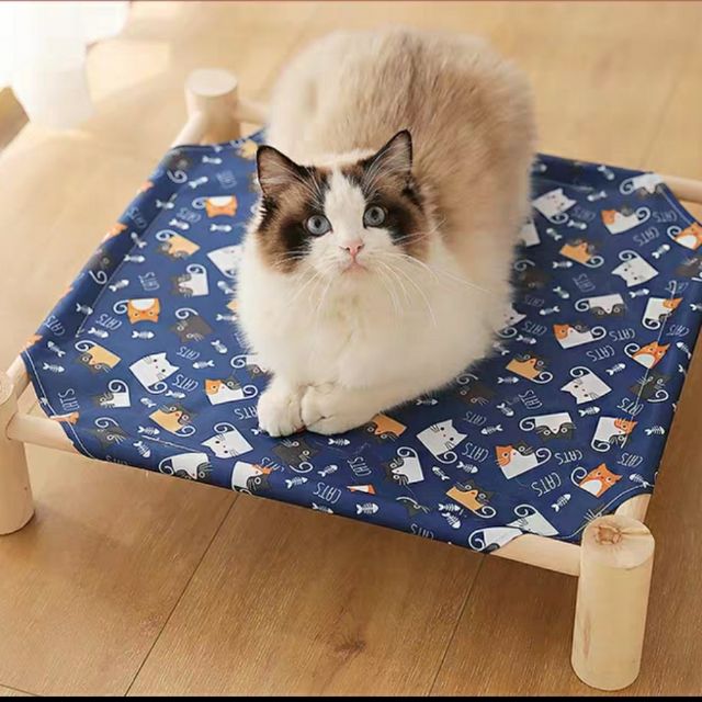 Cat Bed / Katil Kucing