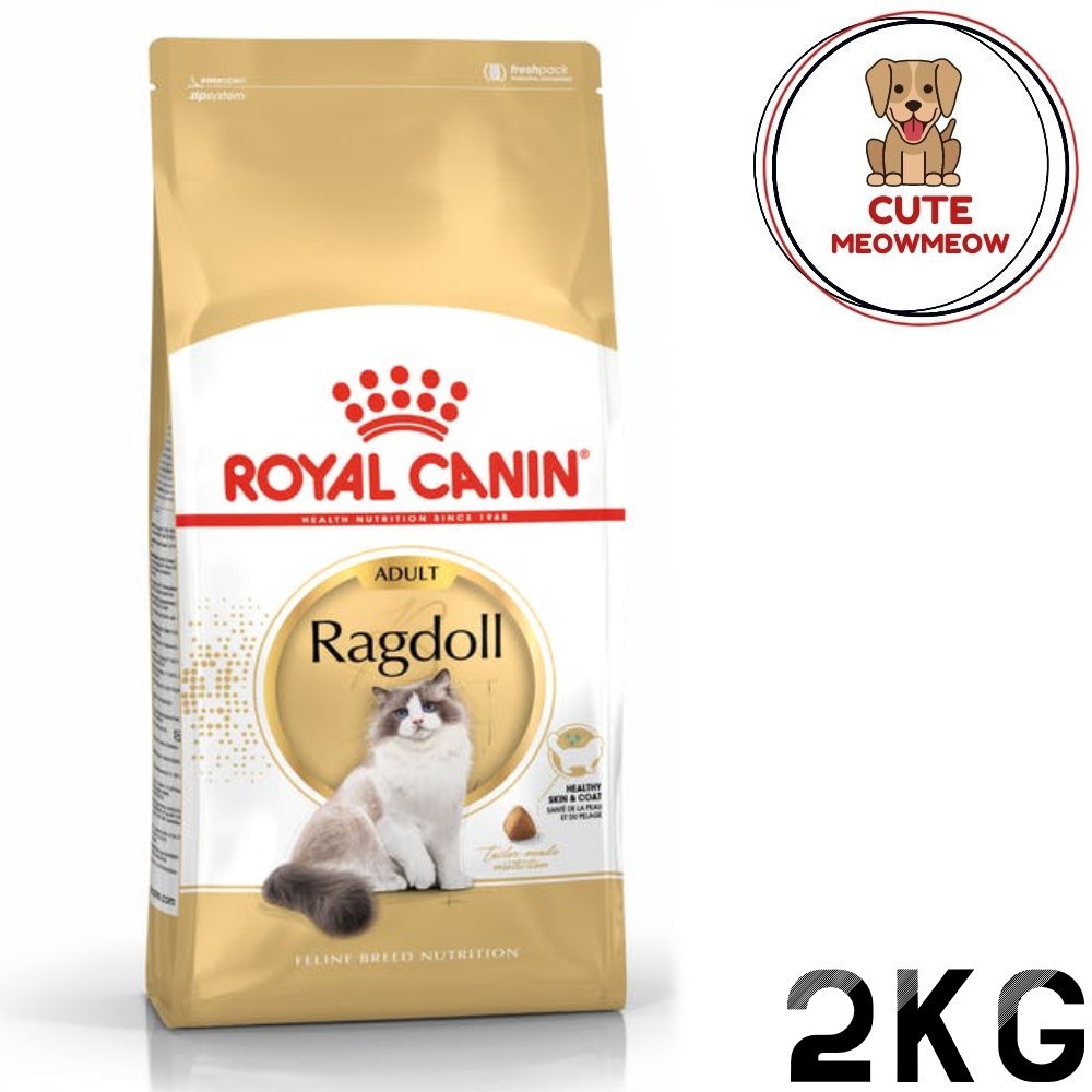 makanan kucing murah reflex kitten cat food ROYAL CANIN RAGDOLL 