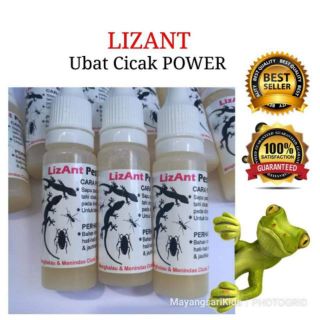 RaCun CicaK LiZard ⭐⭐⭐  Shopee Malaysia