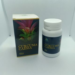 CURCUMA CAESIA (KAPSUL KUNYIT HITAM) 60BIJI  Shopee Malaysia