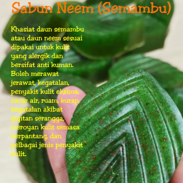 Sabun gatal exema dari daun neem atau semambu READY STOCK ...