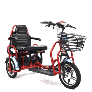 StonBike Electric Tricycle Tiga Roda bicycle ebike e-bike electric ...