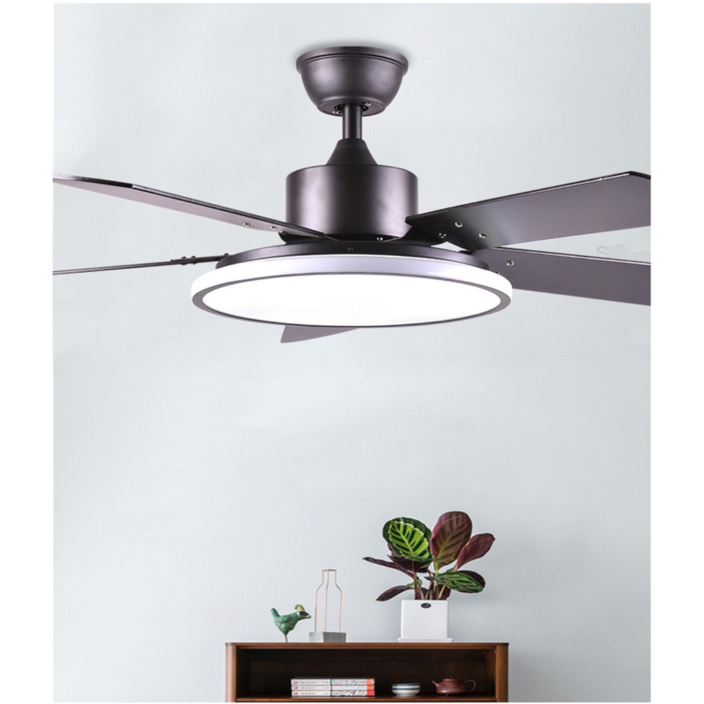 Nordic Modern Ceiling Fan With Light, Fan With Lamp