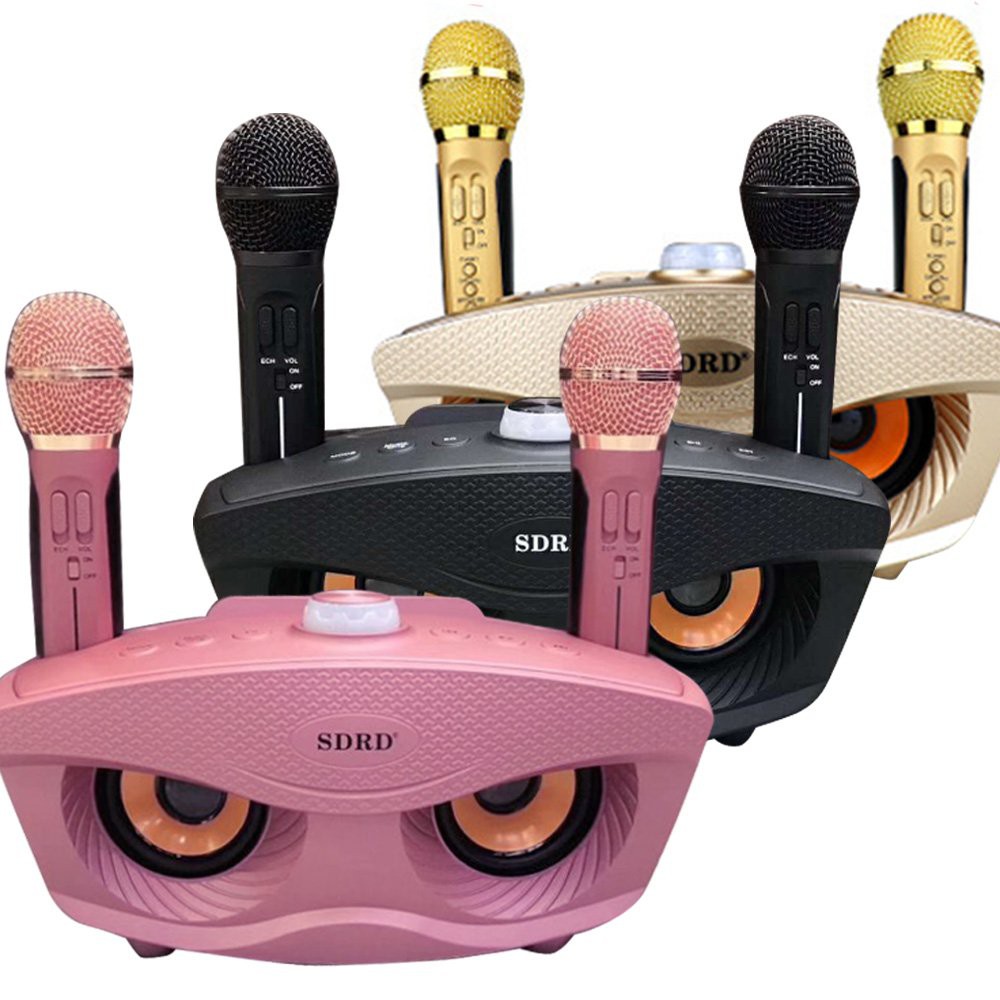 READY STOCK Hot SDRD SD306 Wireless Bluetooth Dual Microphone Karaoke