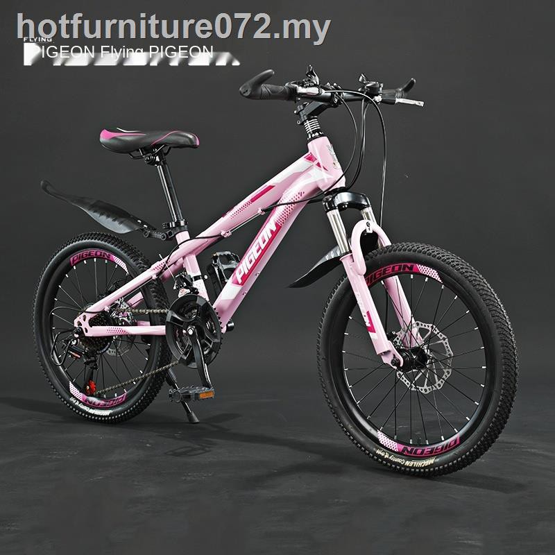 17 inch bike age