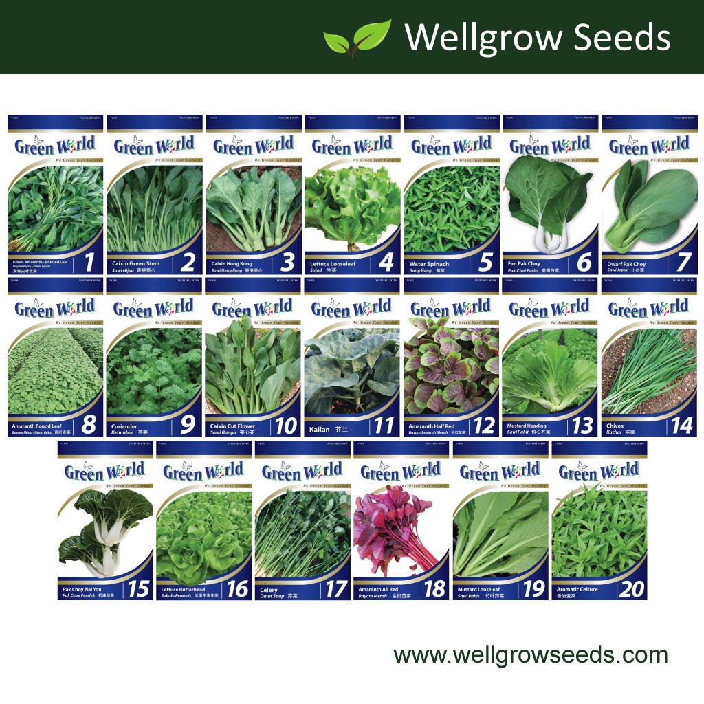 Green World Seeds GW001-GW020 Amaranth/Caixin/Spinach/Pak Choy/Coriander/Kailan/Chive/Mustard/Celtuce (Bundle Deal)