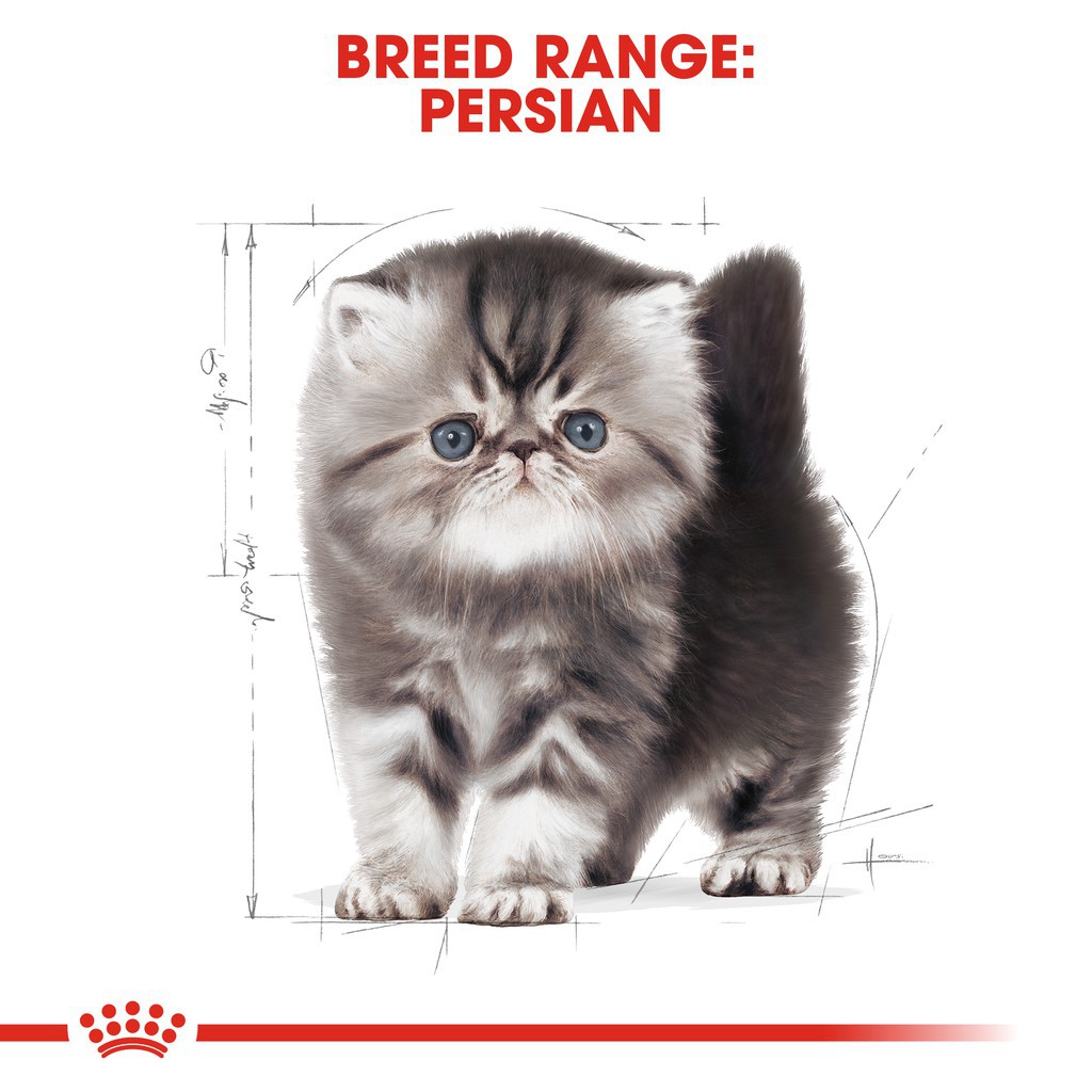 Royal Canin Persian Kitten Kitten Repack 1kg Kibbles Makanan Anak Kucing Parsi Pet Cat Food Bijirin Kucing Trial Shopee Malaysia