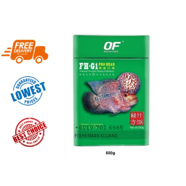 500g Ocean Free FH-G1 PRO HEAD