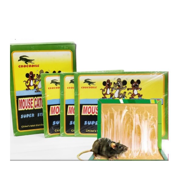 Crocodile Mouse Catcher Trap (Pelekat Tikus)/ Sticky Glue Mouse Trap/Super Glue Rat Bugs Safe Trapper Rat Glue Board 老鼠贴