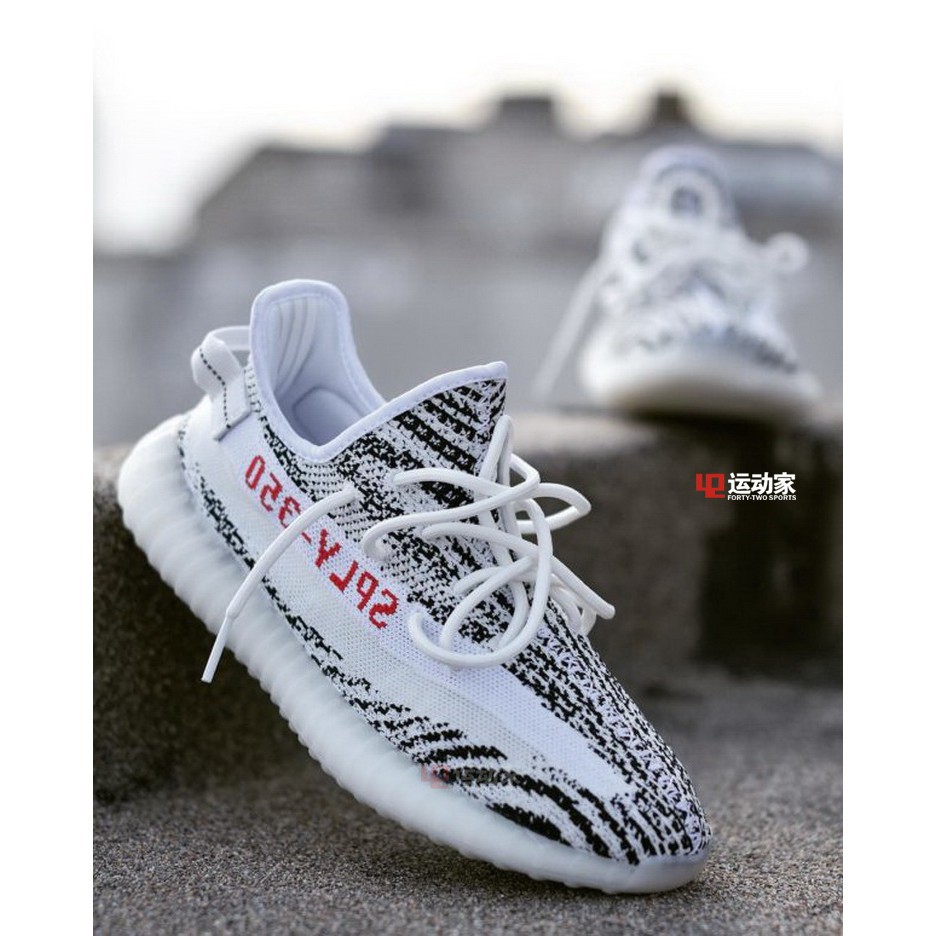 adidas white zebra