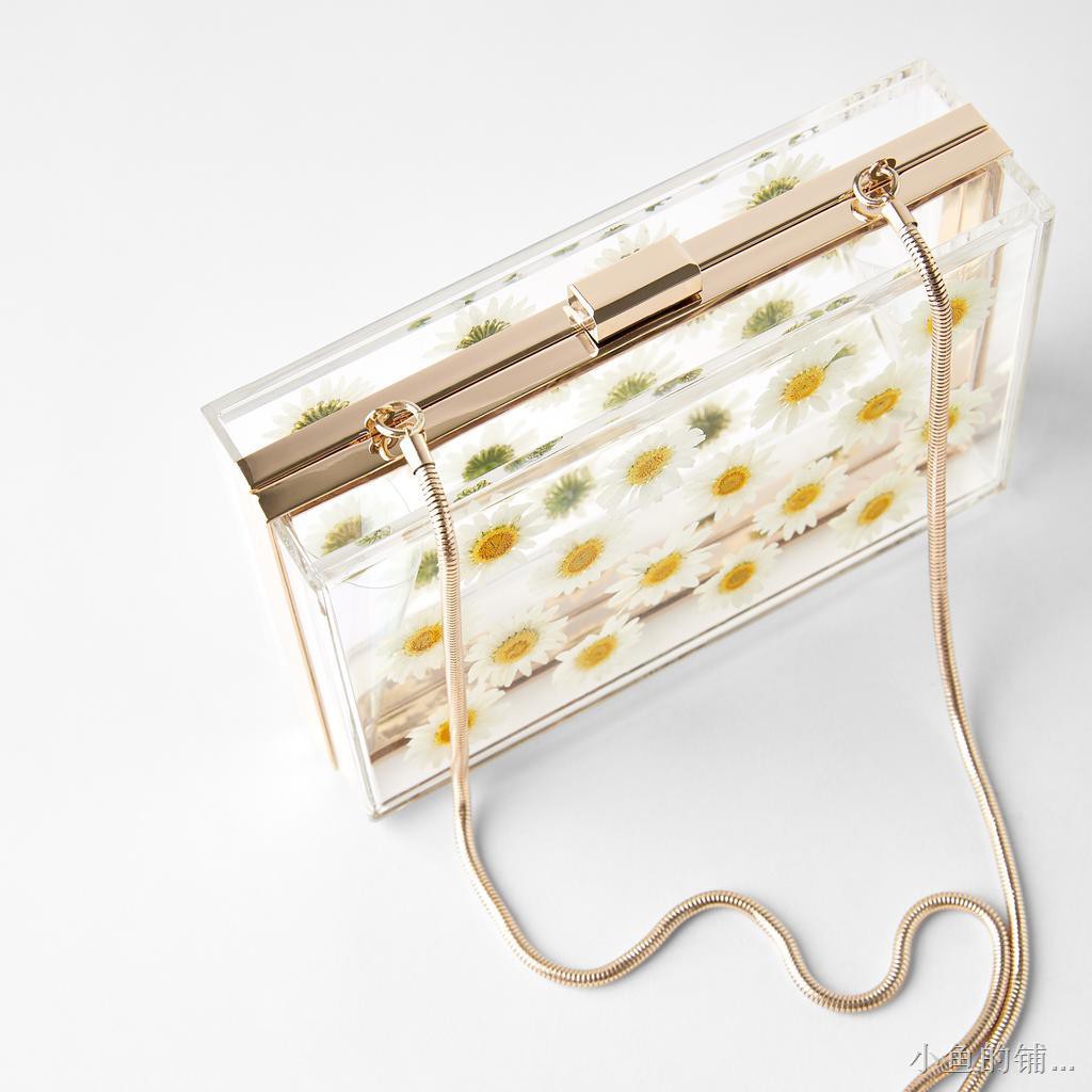 transparent handbags zara