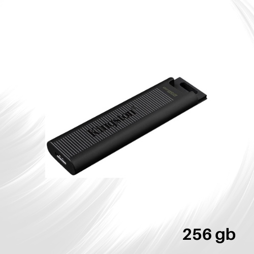 Kingston DTMAX 256GB/512GB/1TB USB3.2 Type-C Flash Drive