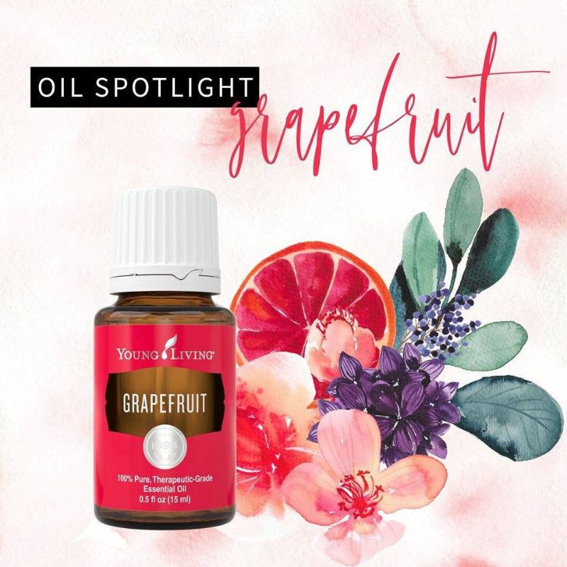 Grapefruit Young Living Essential Oil (15ml) Shopee Malaysia