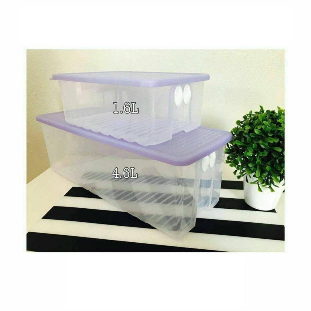 Tupperware Fridge Smart Large 4.6L or Medium 1.6L Shopee Malaysia