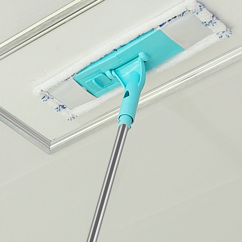 Qing Car Cover Cleaning Tools Sweep The Gods Chicken Hair