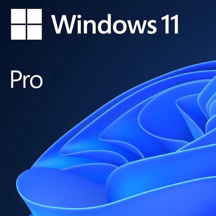  Microsoft Windows 11 PRO 64bit Genuine OEM System Builder Pack Shopee Malaysia