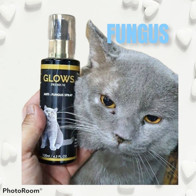 UBAT KURAP/FUNGUS anjing u0026 kucing 💥GLOWS PREMIUM💥