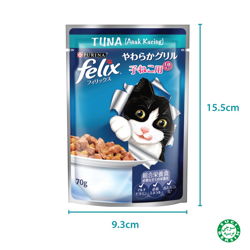 purina felix kitten